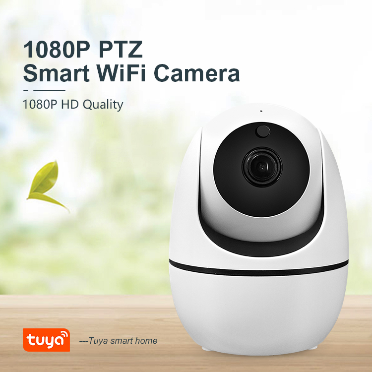 Tuya Smartlife Cameras