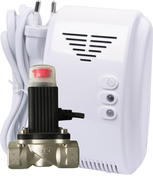 Gas Alarm