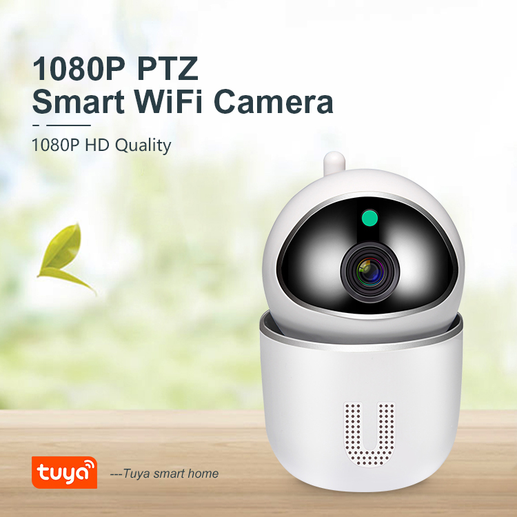 Tuya Smartlife Cameras